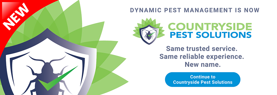 Residential Pest Control, Mississauga Pest Control, Brampton Pest Control, Owen Sound Pest Control, Kitchener Pest Control, Waterloo Pest Control, Spider Control, Rodent Control, Wildlife Removal, Bat Removal, Bird Removal, Insect Removal, Exterminator, Huronia, Kitchener, Waterloo, Guelph, Spiders, Ants, Earwigs, Wasps, Hornets, Bees, Fleas, Mice, Rats
